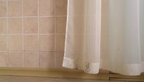Best Mold Prevention Services  in Indian Wells, CA