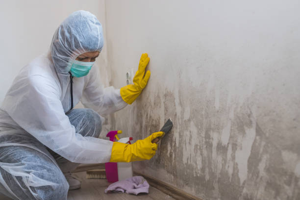 Best Residential Mold Inspection & Testing  in Indian Wells, CA