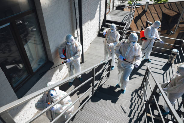 Best Mold Damage Restoration  in Indian Wells, CA