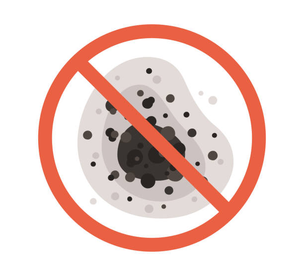 Best Mold Removal for HVAC Installations  in Indian Wells, CA