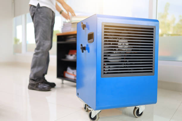 Best Airborne Mold Testing  in Indian Wells, CA