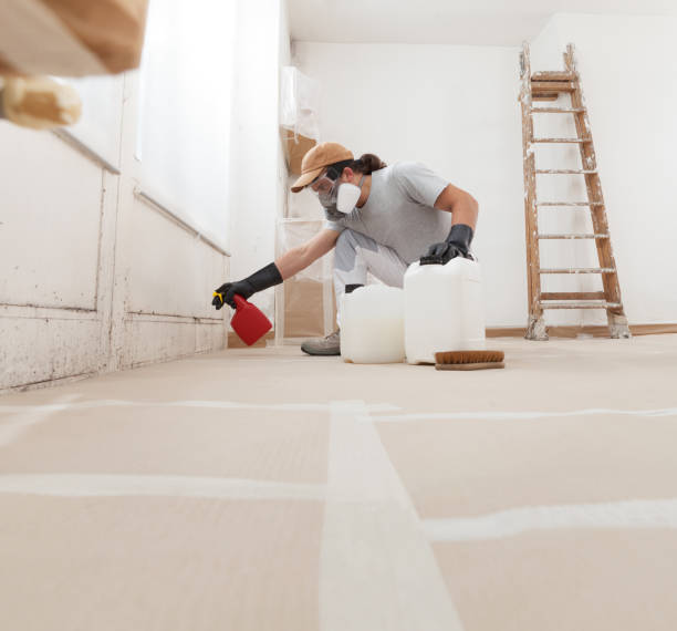 Best Dehumidification Services  in Indian Wells, CA