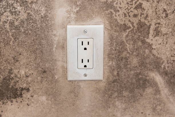 Best Asbestos and Lead Testing During Mold Inspection  in Indian Wells, CA